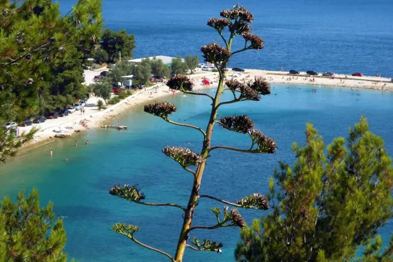 Kašjuni beach in Split, near Boutique Hotel MIrari.
